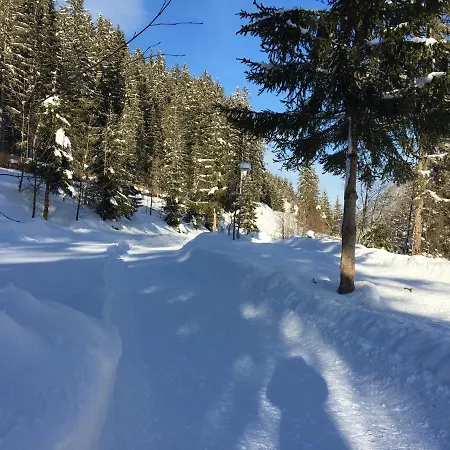 アパーテメンツ ファム グラインザー ミレッラ アパート *