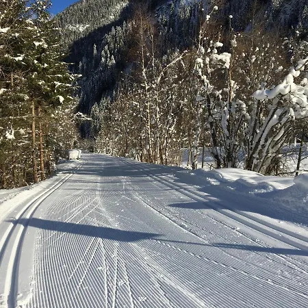 アパート アパーテメンツ ファム グラインザー ミレッラ