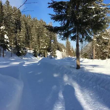 アパート アパーテメンツ ファム グラインザー ミレッラ
