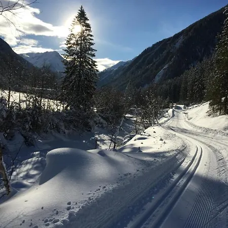 アパーテメンツ ファム グラインザー ミレッラ ノイシュティフト・イム・シュトゥーバイタール