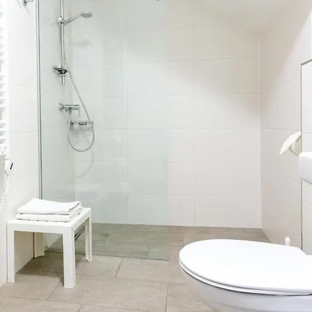 アパーテメンツ ファム グラインザー ミレッラ アパート *