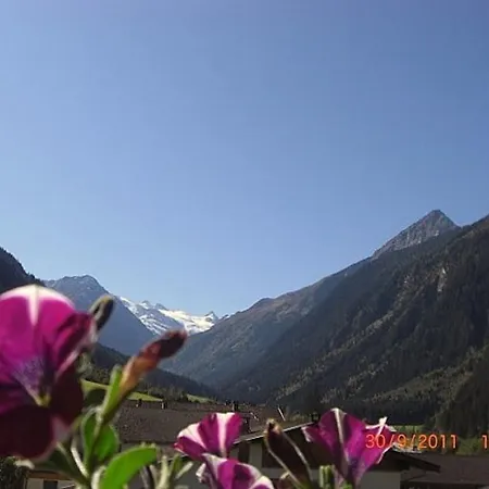 アパーテメンツ ファム グラインザー ミレッラ