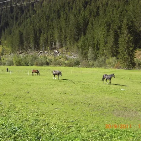 アパート アパーテメンツ ファム グラインザー ミレッラ *