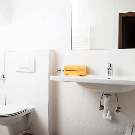 アパーテメンツ ファム グラインザー ミレッラ アパート ノイシュティフト・イム・シュトゥーバイタール